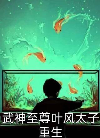 沈书婷周子元是什么小说